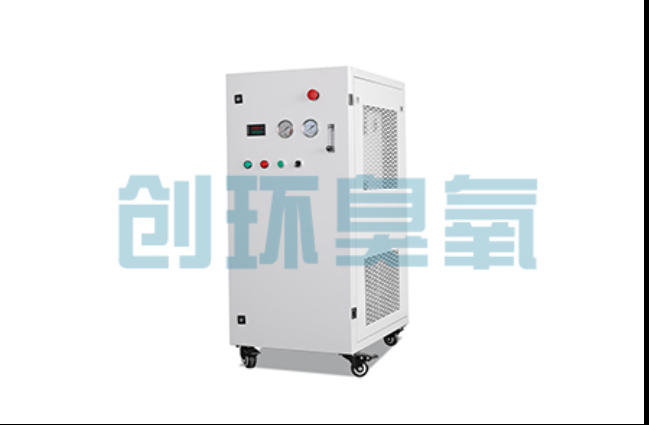湛江工厂化养鲈必看:2026年臭氧发生器替代传统消毒的最新方案