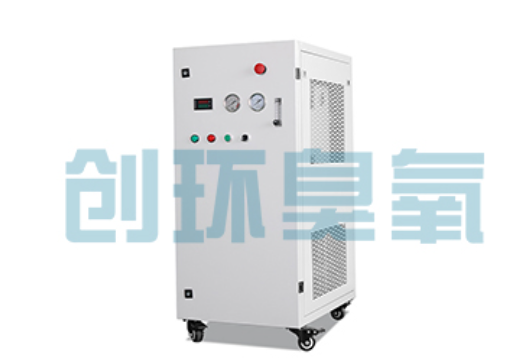 湛江石斑鱼养殖水质调控完整指南:臭氧发生器配置与操作步骤