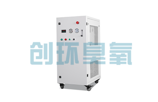 湛江比传统换水更高效?臭氧发生器在石斑鱼养殖中的水质净化原理解析