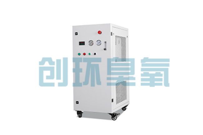 湛江比传统换水更高效?臭氧发生器在石斑鱼养殖中的水质净化原理解析